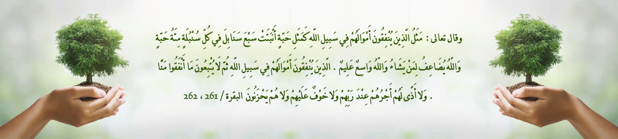 جمعية تحفيظ القرآن الكريم بالمخواة (ماهر)